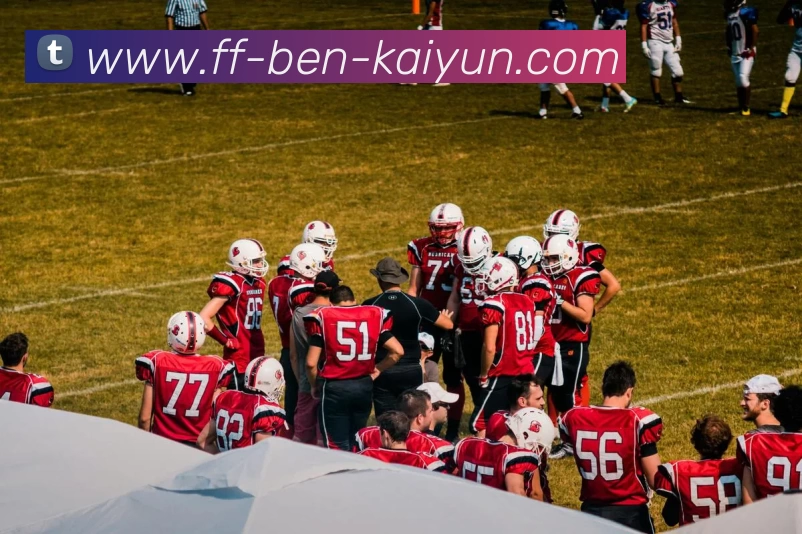 App Interface Preview